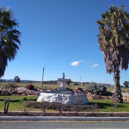 Allonville Gardens Motel Wagga Wagga Buitenkant foto