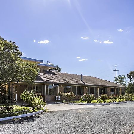 Allonville Gardens Motel Wagga Wagga Buitenkant foto