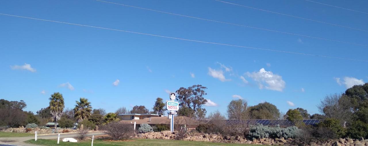 Allonville Gardens Motel Wagga Wagga Buitenkant foto