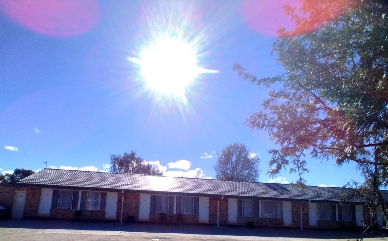 Allonville Gardens Motel Wagga Wagga Buitenkant foto
