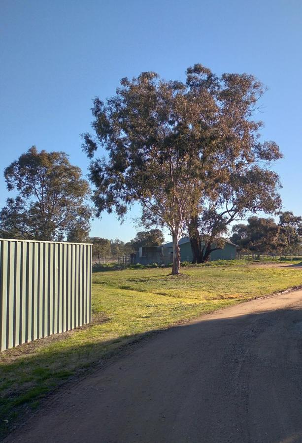 Allonville Gardens Motel Wagga Wagga Buitenkant foto