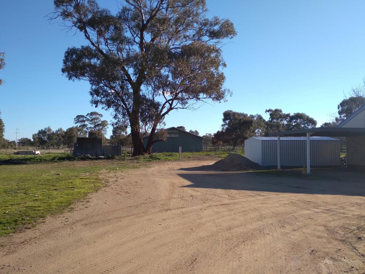 Allonville Gardens Motel Wagga Wagga Buitenkant foto