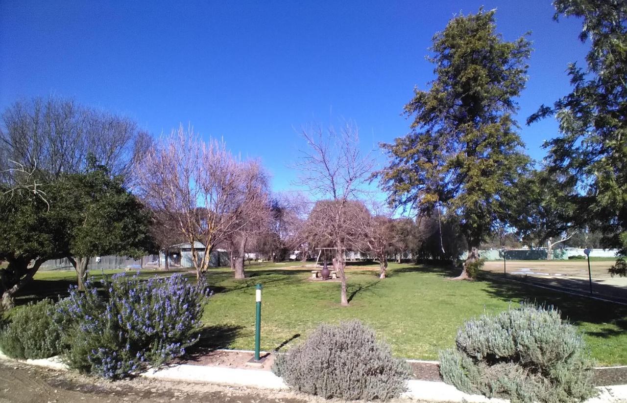 Allonville Gardens Motel Wagga Wagga Buitenkant foto
