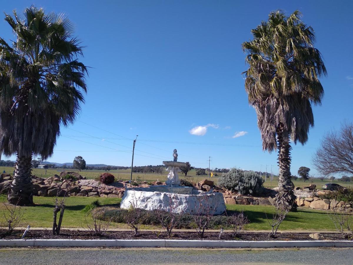 Allonville Gardens Motel Wagga Wagga Buitenkant foto