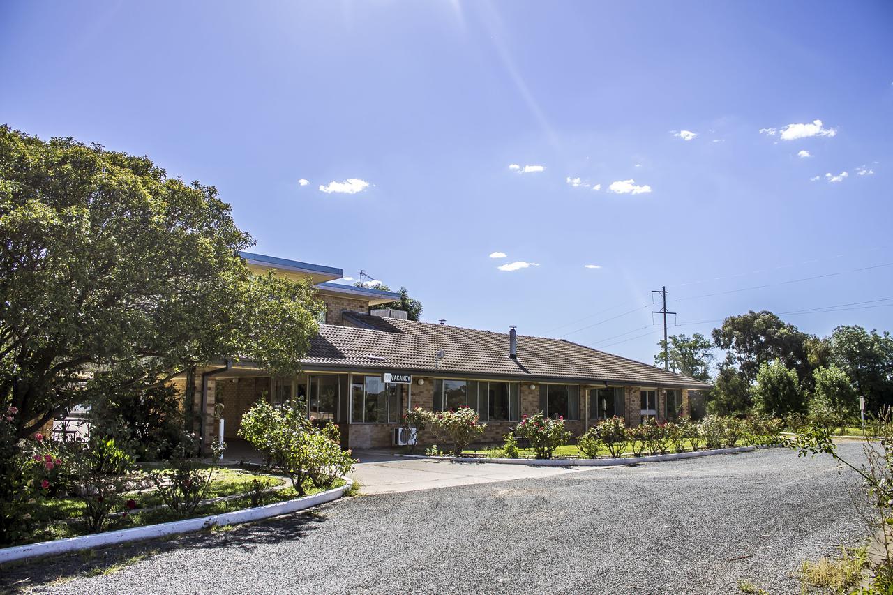 Allonville Gardens Motel Wagga Wagga Buitenkant foto