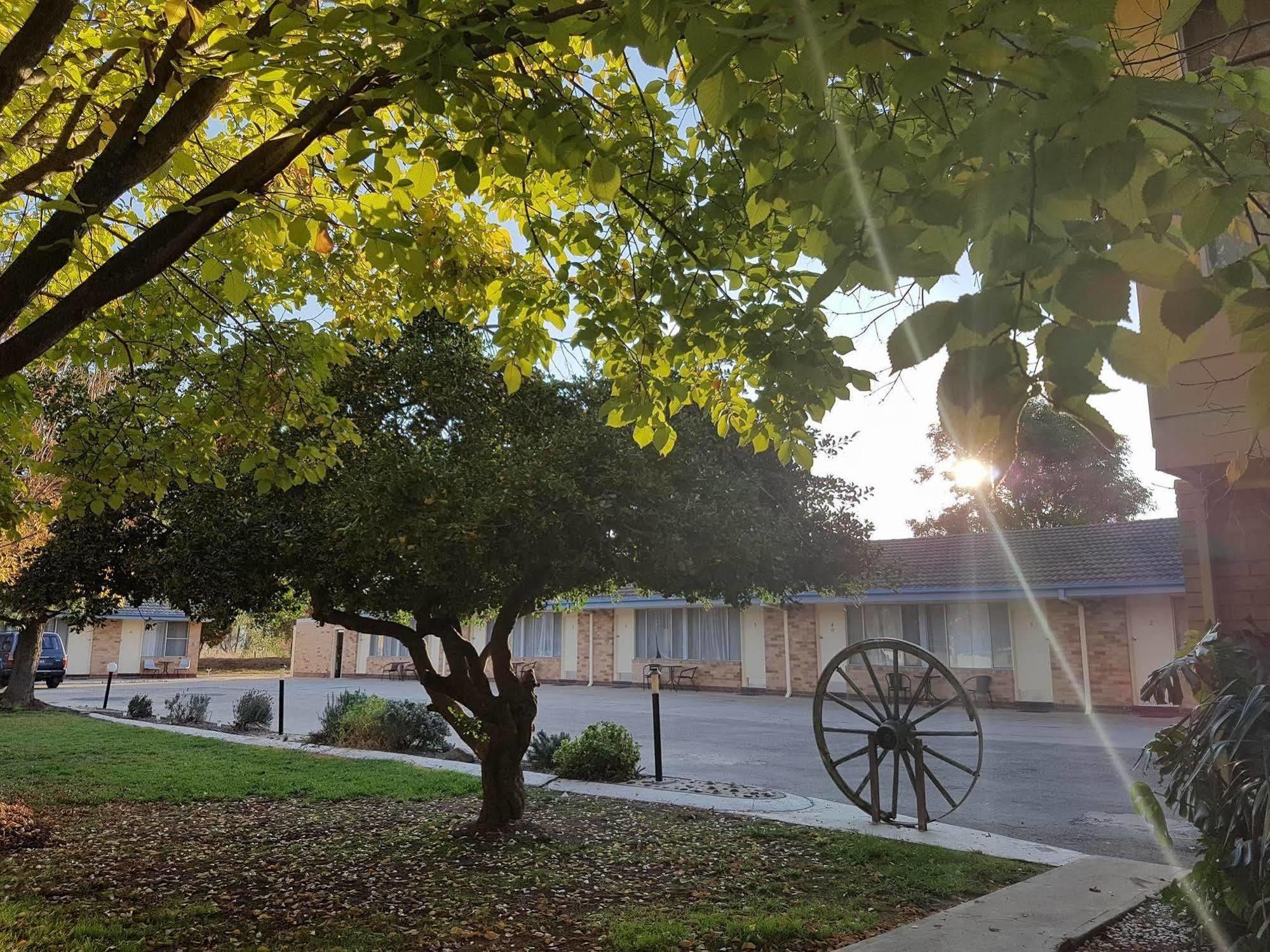 Allonville Gardens Motel Wagga Wagga Buitenkant foto