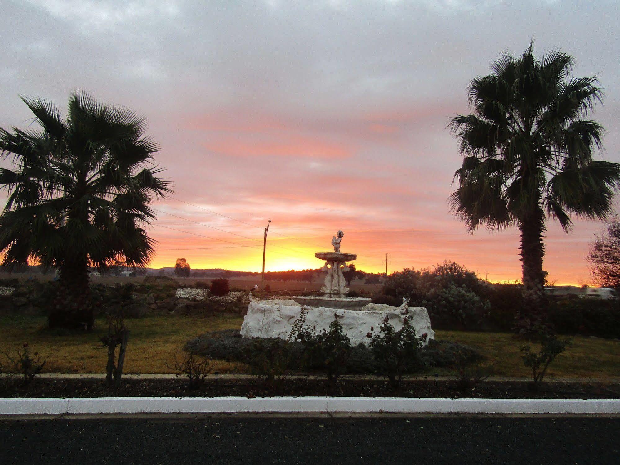 Allonville Gardens Motel Wagga Wagga Buitenkant foto