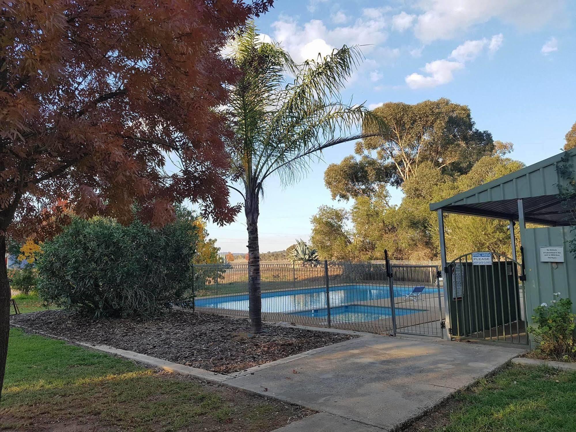 Allonville Gardens Motel Wagga Wagga Buitenkant foto